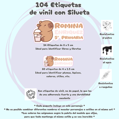 Etiquetas WRLD Silueta aplicadas en cuadernos y libros escolares