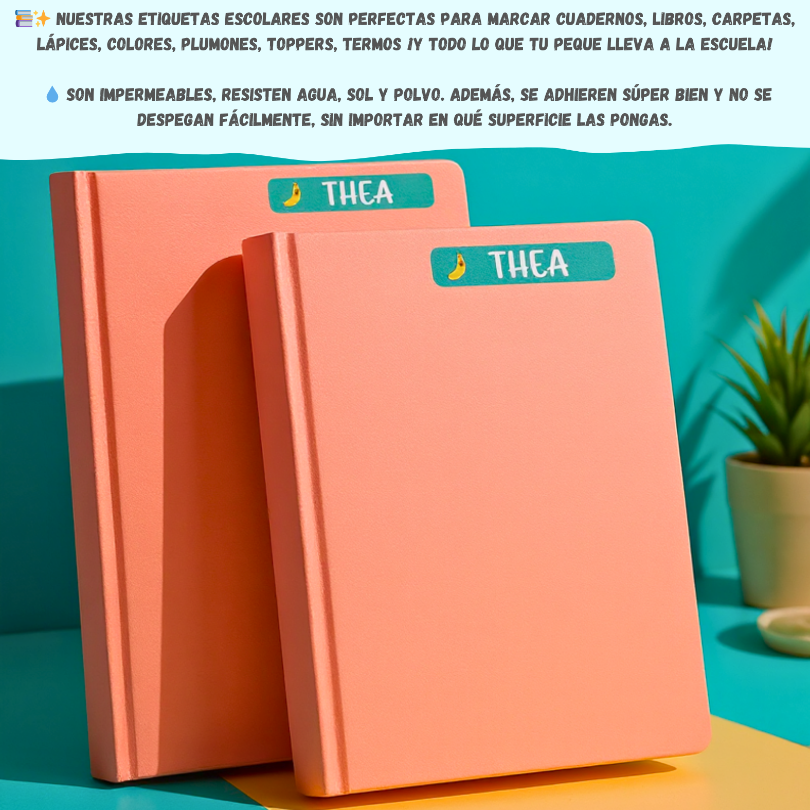 Etiquetas WRLD Paquete Clásico personalizadas en toppers y termos de agua